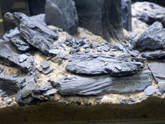 Terrarium basking area made with Small World slate stones.