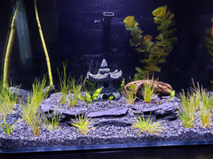 Small World Slate & Stone terrarium basking stones promote secure heat zones