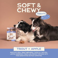 Smart Cookie Trout & Apple training treats on display for rewards during training.