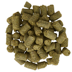SmartEquine Equi Treats alfalfa and beet pulp base highlighted for fiber-forward snacking