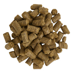 SmartEquine Equi Treats bite-sized cookies close-up ideal for quick rewards.