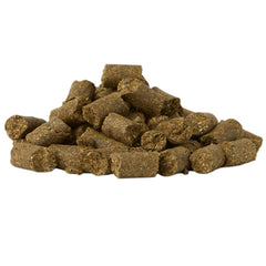 SmartEquine Equi Treats carrot cake flavor close-up inviting a tasty reward.