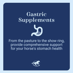 SmartEquine Gut Pellets packaging shown with a calm horse during training.