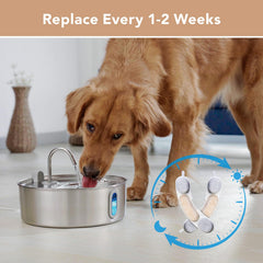 Smartoo 7L stainless steel dog fountain ready for fresh hydration