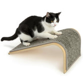 SmartyKat Carpet Angle Scratch Ramp gray angled surface for a satisfying stretch.