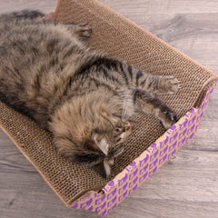 SmartyKat chaise-lounge-cradle: a comfy resting and scratching space.