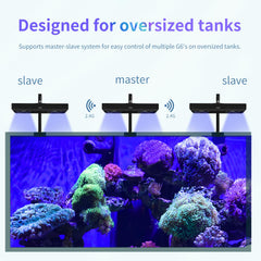 SMATFARM reef light quiet heat-dissipation keeps tank room calm.