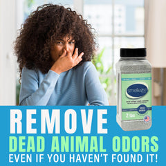 SMELLEZE indoor odor absorber in a room improves air quality.