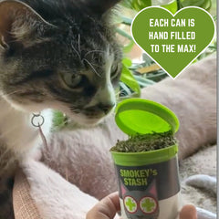 Smokey's Stash refreshing a scratching post with catnip spray.