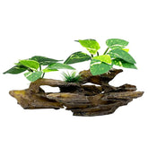 Smoothedo-Pets Betta leaf pad hammock resting spot in the tank