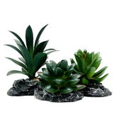Smoothedo-Pets dark-green-3pcs terrarium plants add lifelike color to reptile enclosures.