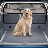 Snagle Paw dog car barrier front view shows sturdy alloy frame for secure backseat protection