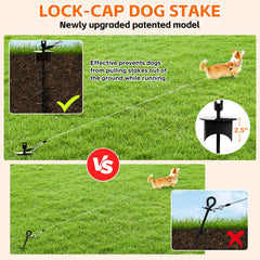 Snagle Paw tie-out stake with 17-inch design for stronger hold