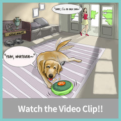 Sniffiz SmellyUFO treat dispensing maze invites problem solving and tasty rewards.