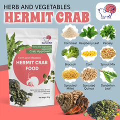 Snout and Shell ingredients closeup shows leafy greens and sprouts supporting a nutrient-dense diet