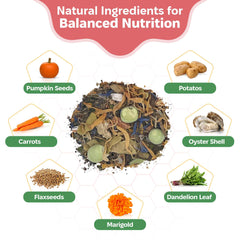 Snout and Shell Garden Foraging Blend texture with pea flakes and flaxseed detail