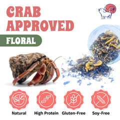 Snout and Shell protein pellets support a balanced hermit crab diet.