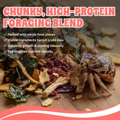 Hermit crab foraging with Snout and Shell Tidepool blend supporting natural feeding behavior.