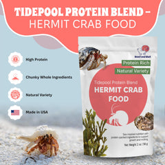 Snout and Shell Tidepool Protein Blend in a clean dish ready for daily feeding and freshness.