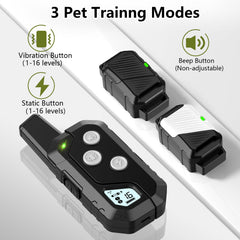 Snsng shock collar in vibration mode helps sharpen focus during walks.