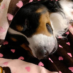 Snuggle Puppy blanket large 48x30 for growing dogs and comfy naps.