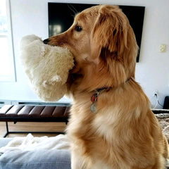 Snuggle Puppy heat pack inside offers warm comfort during bedtime.