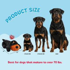 Snuggle Puppy heat pack removable for gentle warmth during crate time