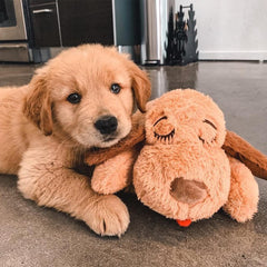 Snuggle Puppy heartbeat pulse feature calms puppies during crate time