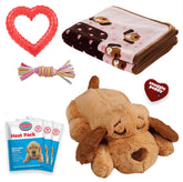 Snuggle Puppy Original Starter Kit with Biscuit and heartbeat comforts new puppies