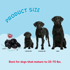 Snuggle Puppy real-feel heartbeat module shown for comforting presence.