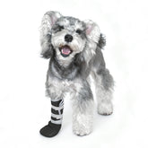 Snugrance dog paw boot with lick-proof design protects wounds during activity.