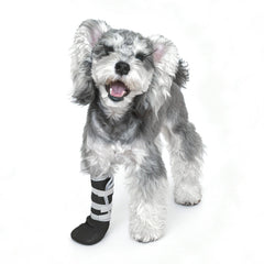 Snugrance dog paw boot post-surgery protection for healing and licking prevention.