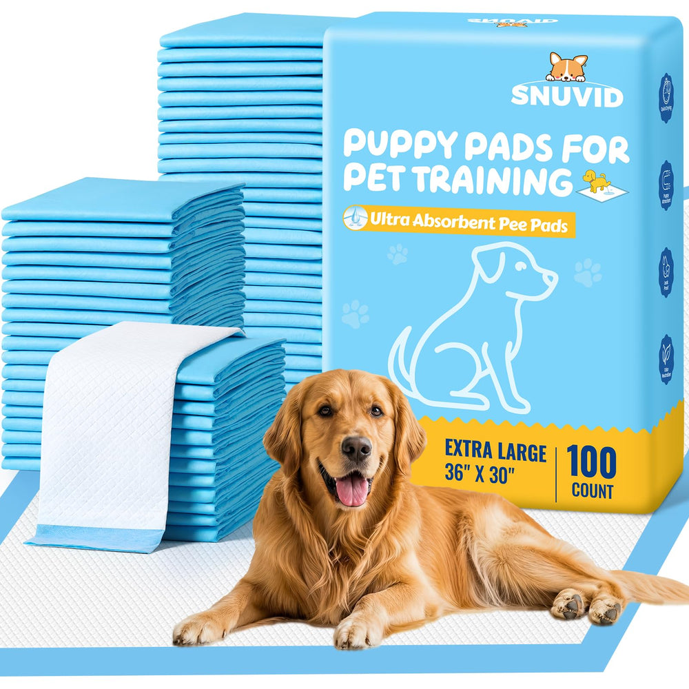 Snuvid 100-pack pee pad, top view, large coverage for training indoors