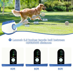 Owner uses the SOCO remote to cue fetch from the lawn.