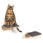 SOJILET cat wall shelves perch step for elevated play and rest.