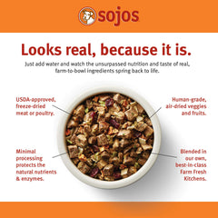 Sojos Complete freeze-dried dog food bowl: quick rehydration and serving.
