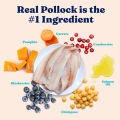 Solid Gold Alaskan Pollock first-ingredient bag signals high-protein weight support.
