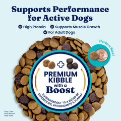 Solid Gold beef protein dry dog food bag ready for meals