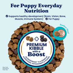 Close-up of Solid Gold puppy kibble texture highlighting protein-rich bites.