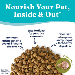 Closeup of pumpkin and chickpeas in Solid Gold dog food; digestion-friendly ingredients