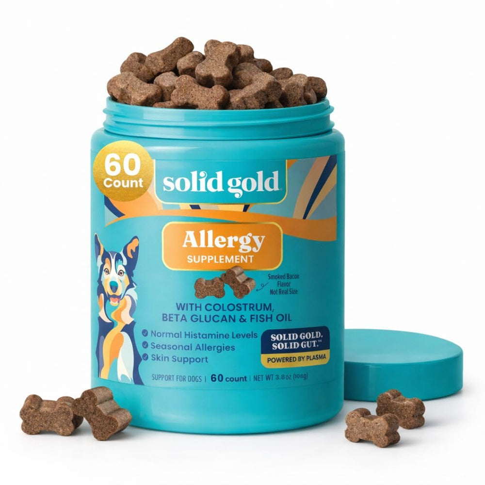 Solid Gold allergy relief chews bottle with bacon flavor promotes skin health