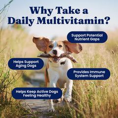 Solid Gold multivitamin nutrition label shows vitamins and minerals.