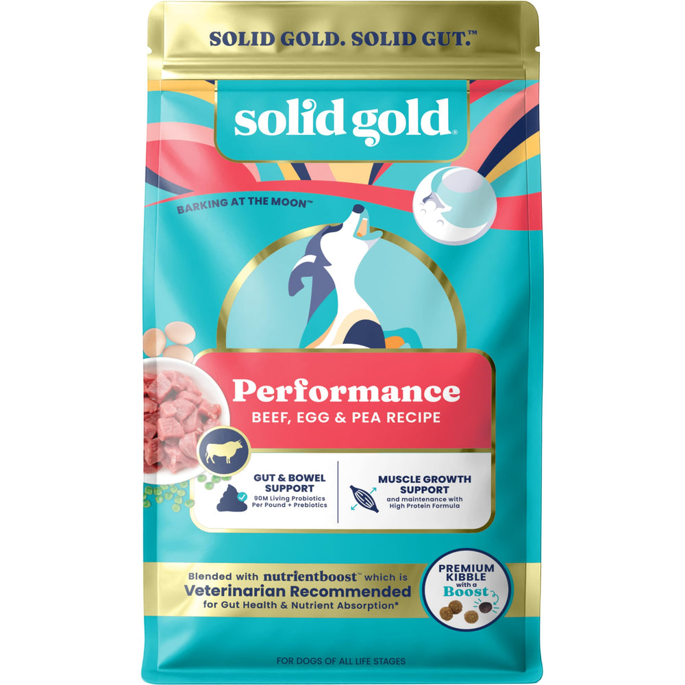 Solid Gold high-protein kibble in a bowl for active dogs