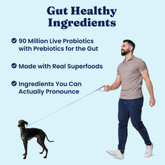 Solid Gold Hund-N-Flocken rich antioxidants and vitamins support overall well-being.