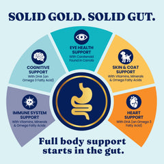 Solid Gold Hund-N-Flocken salmon oil bottle for omega-3 skin and coat support.