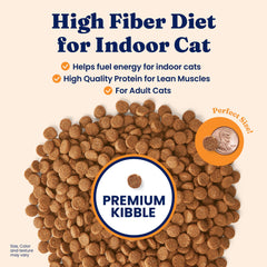 Solid Gold Indoor Dry Cat Food kibble closeup highlights crunchy texture.