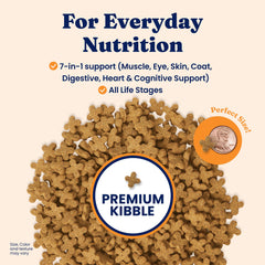 Solid Gold Katz-N-Flocken grains image emphasizes brown rice and barley for steady digestion.