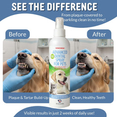 Sonnyridge dog dental spray applies directly to teeth and gums for oral care.