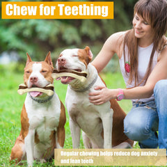 Sosation puppy training bone chew rewards positive behavior