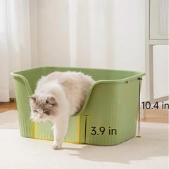 SpaceTime large interior space supports comfortable movement for indoor cats.